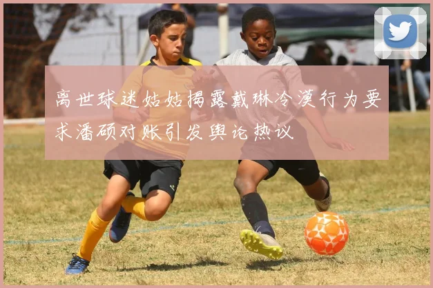离世球迷姑姑揭露戴琳冷漠行为要求潘硕对账引发舆论热议