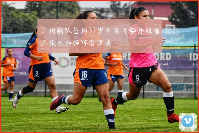 广州豹队签约31岁中场肖鲲并租借王俊杰加强阵容深度