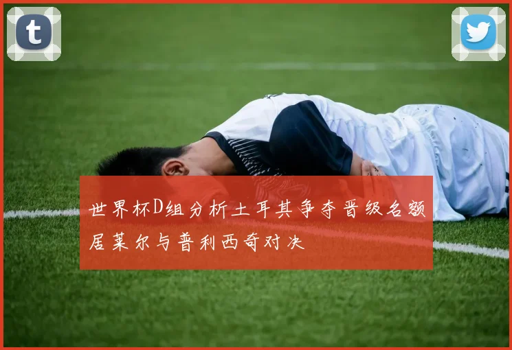 世界杯D组分析土耳其争夺晋级名额居莱尔与普利西奇对决