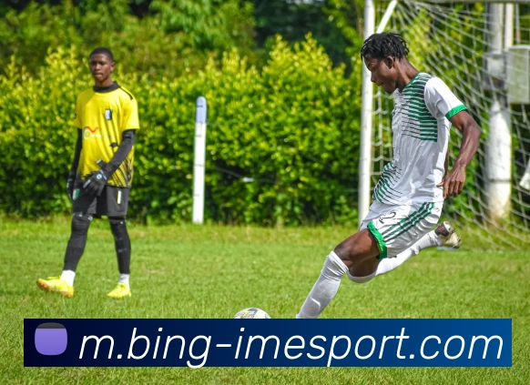 IM电竞品牌故事