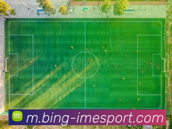 IM电竞APP 体育赛事宣传图